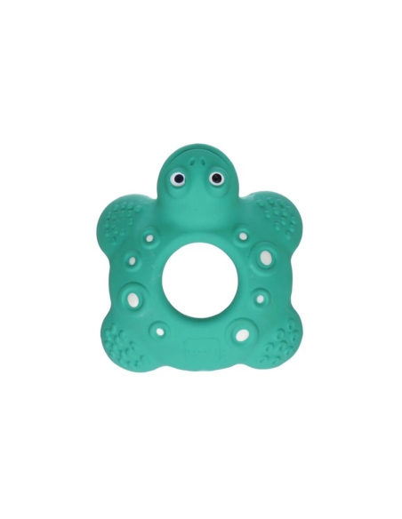 Mam Mordedor Bob the Turtle +5m 1un