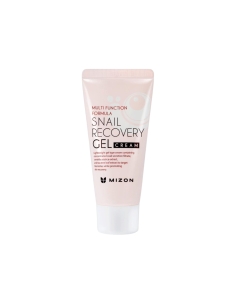 Mizon Snail Recovery Gel Cream 45ml