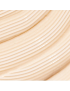 Freshly Beta Burner Sculpting Treatment 100ml 2
