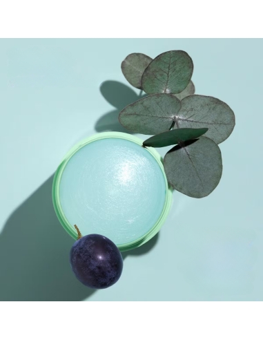 Caudalie Vinofresh Desodorizante Stick Natural 50g