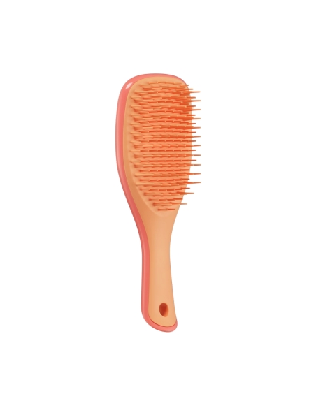 Tangle Teezer Detangler Mini Pink Orange