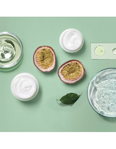 Herbatint Detox Shampoo 260ml