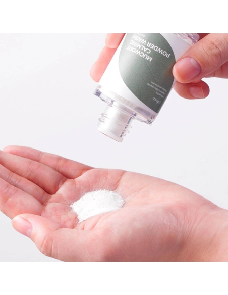ISNtree Mugwort Calming Powder Wash 15g