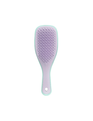 Tangle Teezer Mini Wet Detangler Mint/Lilac