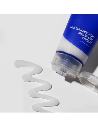 ISNtree Hyaluronic Acid Aqua Gel Cream 100ml