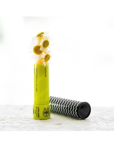 Apivita Chamomile Cuidado Labial SPF15 4,4g